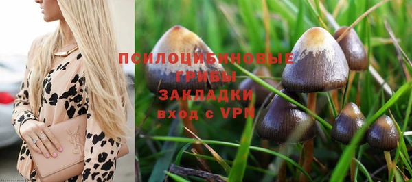 соль ск Приозерск