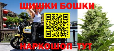МДПВ Дубна