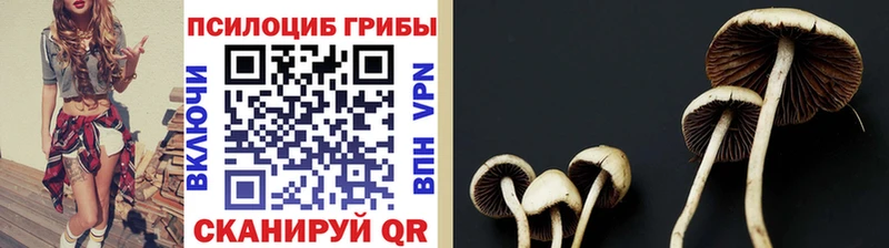 Псилоцибиновые грибы GOLDEN TEACHER  Котельники 