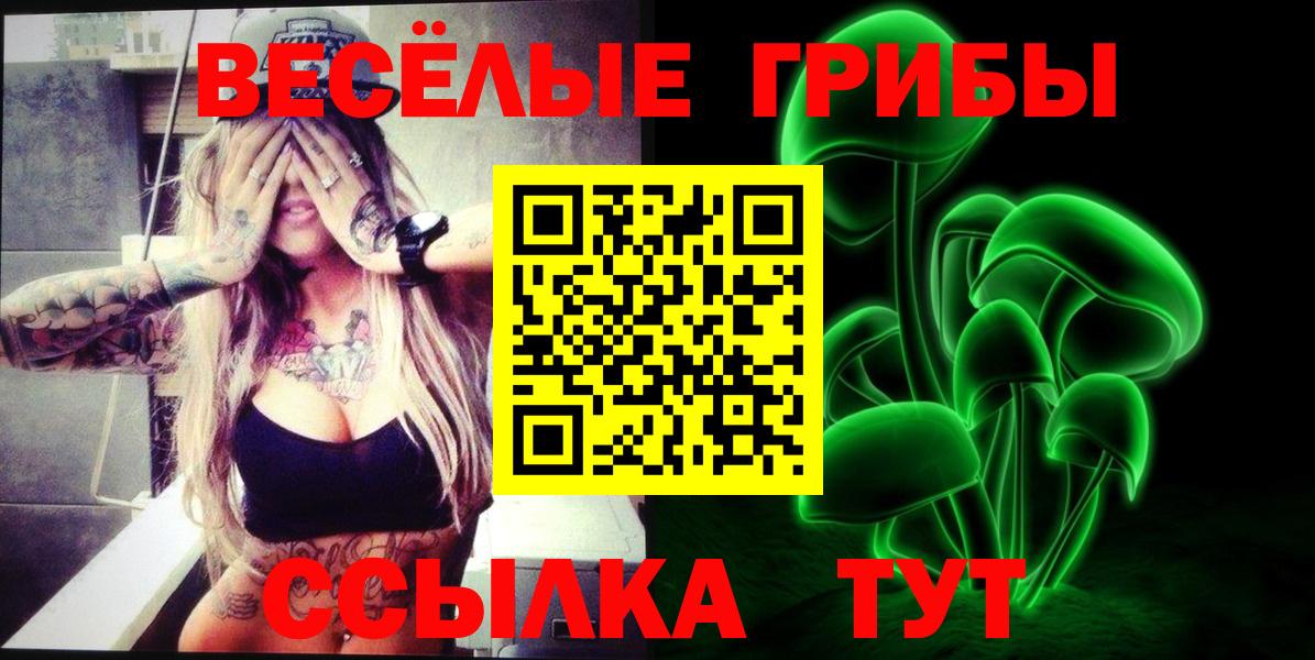 Галлюциногенные грибы GOLDEN TEACHER Котельники