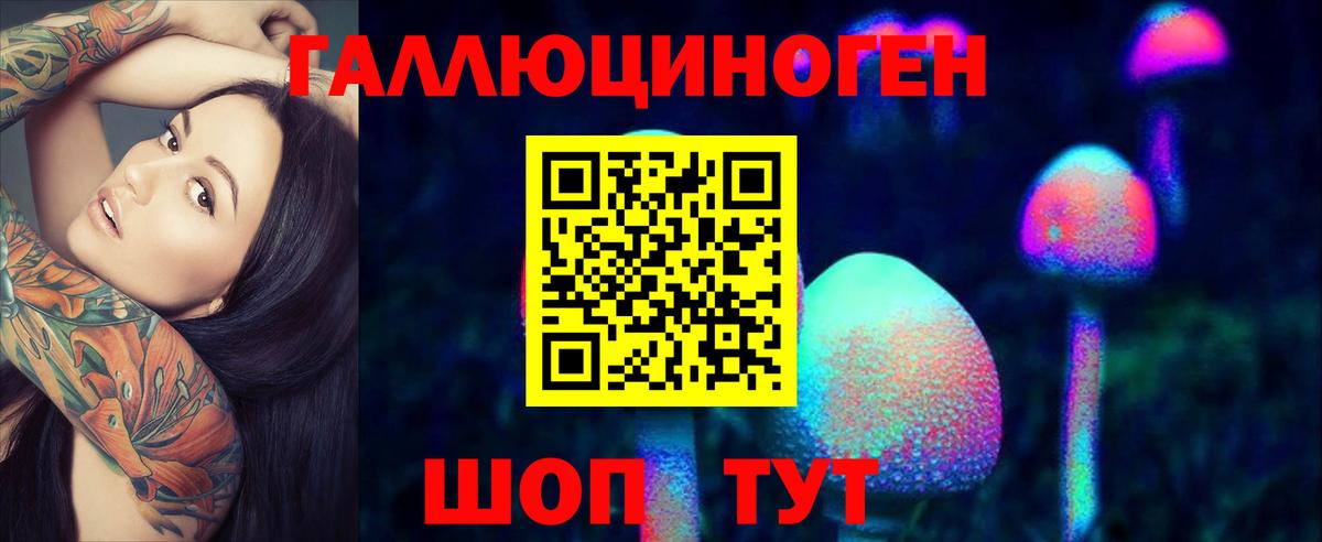 дарнет шоп  Псилоцибиновые грибы ЛСД  Псилоцибиновые грибы мухоморы  Вход с VPN  Котельники 